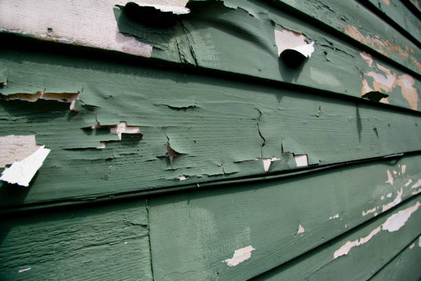 Best Same-Day Junk Removal Services  in Clearlake Oaks, CA